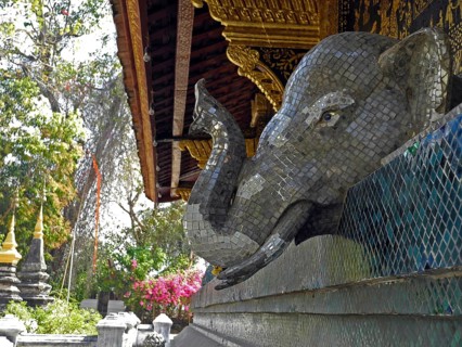 Elephant head