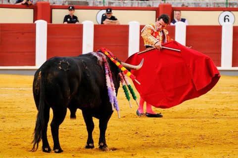 Bullfight