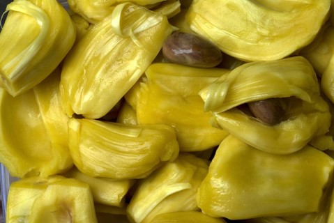 Chempedak