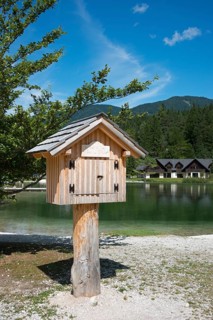Library on the lake