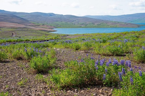 Lake Isholsvatn