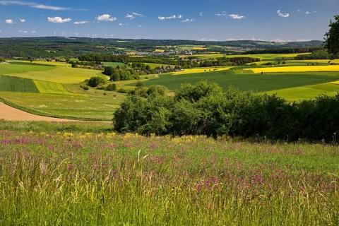 Cultural landscape in the Rhine-Lahn district