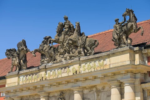 Horse group