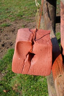 Horse mineral block hanging from fence in paddock