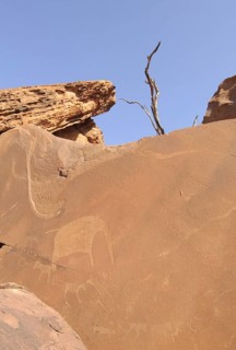 Rock art of the San Bushmen