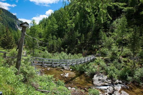 Wooden bridge