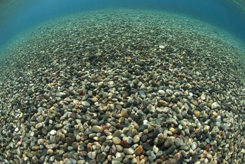 View of multicoloured pebbles near shallow shore