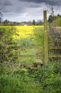 Footpath sign and stile