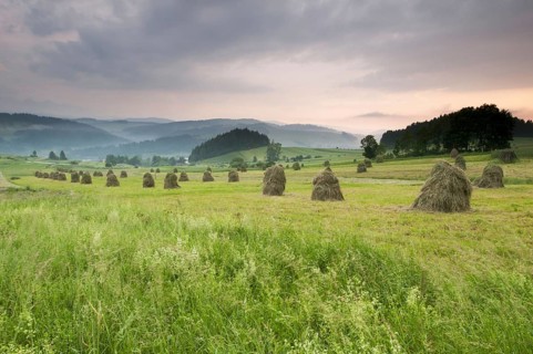 Hay ricks in montane meadow at sunset