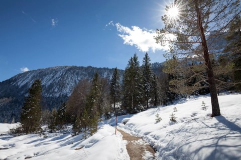 Winter landscape
