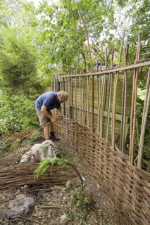 Building a willow garden fence