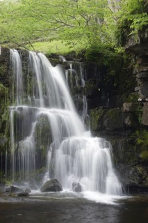 Waterfall by the Stream