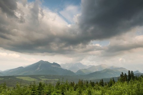 View of clouds over coniferous montane forest habitat at sunset