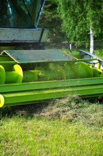 Claas Jaguar 850 forage harvester
