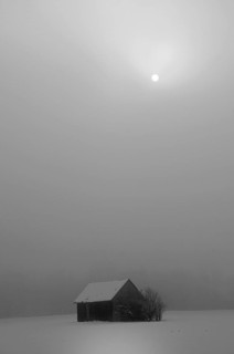Winter landscape on a foggy winter day