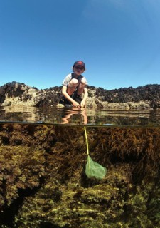 Rock pooling of boys in coastal rock pools