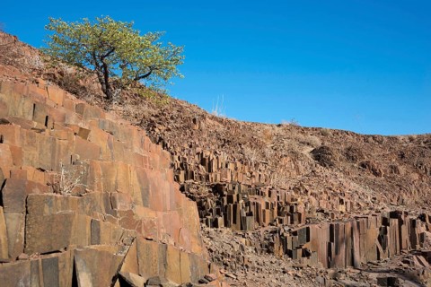 Organ pipes