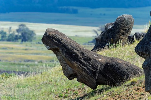 Moais in Rano Raraku