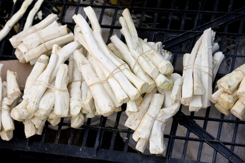 Horseradish