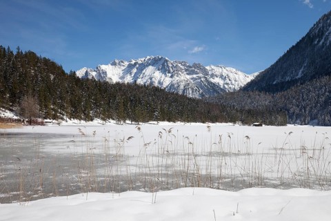 Winter landscape