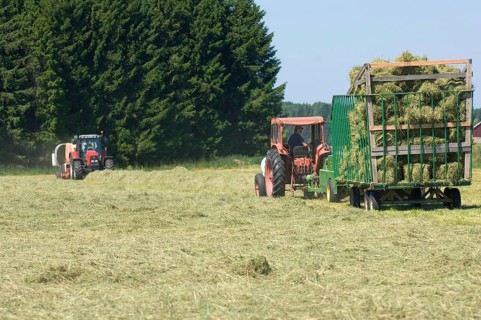 Tractor bale hay