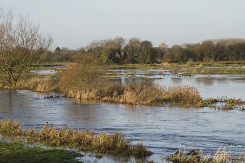 View of flooded meadows