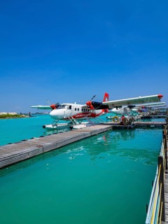 Pontoon with seaplanes