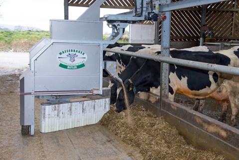 Wasserbauer Butler feeders and scrapers on dairy farm