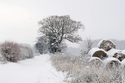 View of snow-covered roadway and round bales of straw