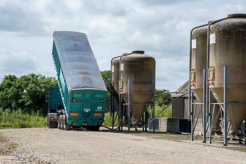 Pig farming