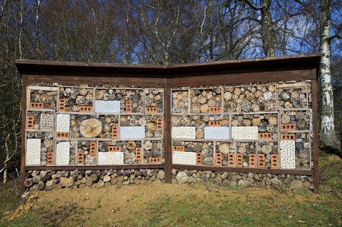 Guinness World Record Holder for Largest Bug Hotel