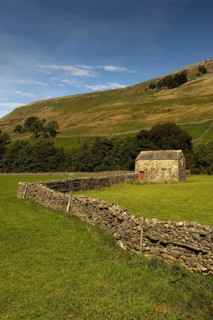 View of pasture