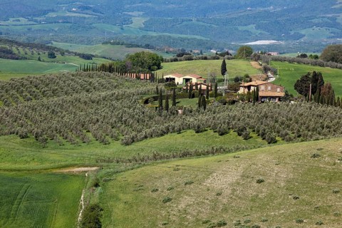 Tuscany with mediterranean cypress