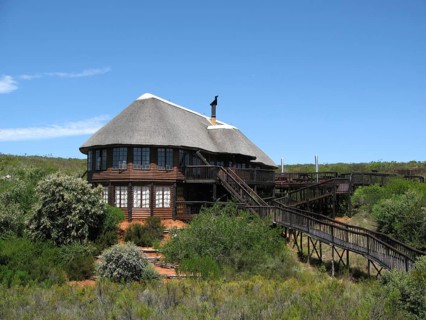 Buchu Bush Camp South Africa