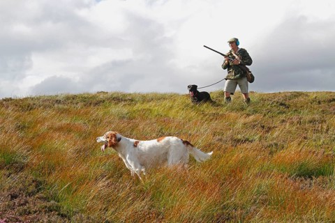 Grouse shooting