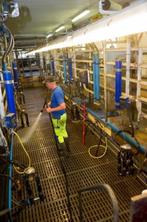 Dairy farmers clean milking parlour