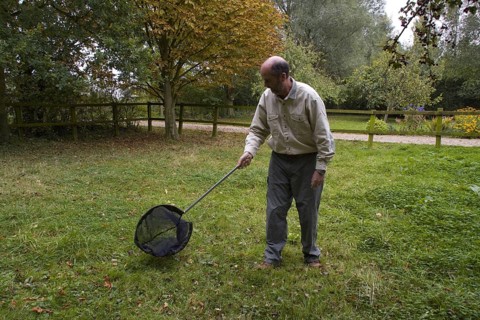 Use of a butterfly net