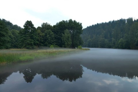 Nebel