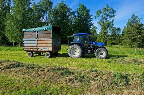 Tractor with wagon of grass for silage