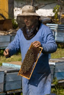 Bee keeping