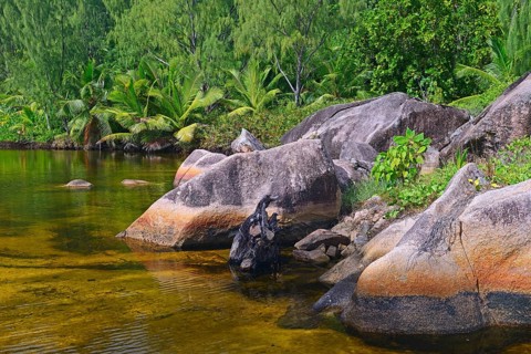 Brackish water lagoon at Anse Lazio