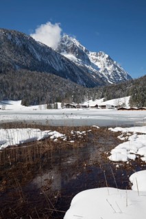 Winter landscape