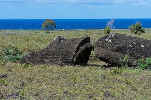 Moai in Rano Raraku