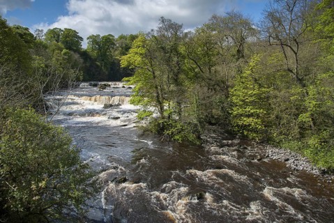 View of river and waterfalls