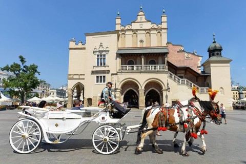 Horse-drawn carriage