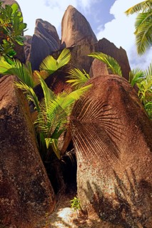 Palm trees and granite rocks on the dream beach Source d'Argent