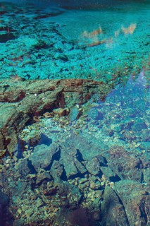 Five Colour Pond
