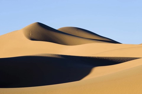 View of sand dunes in desert habitat