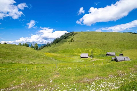 Postalm in the Salzkammergut