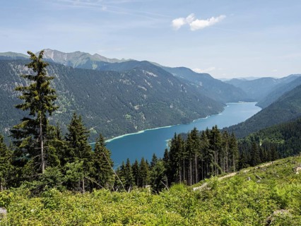 View from the Naggler Alm to the Weissensee